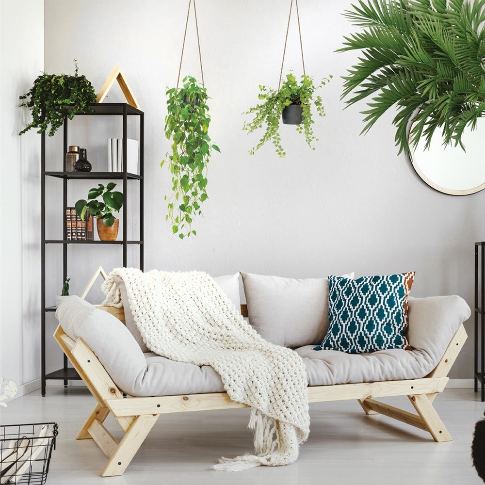 Sticker gm suspensions plantes