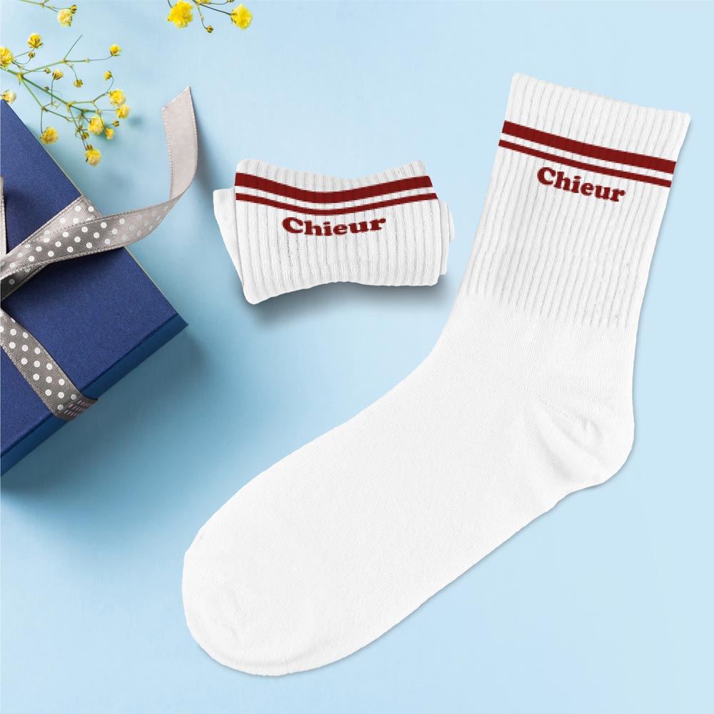 Chaussettes homme chieur