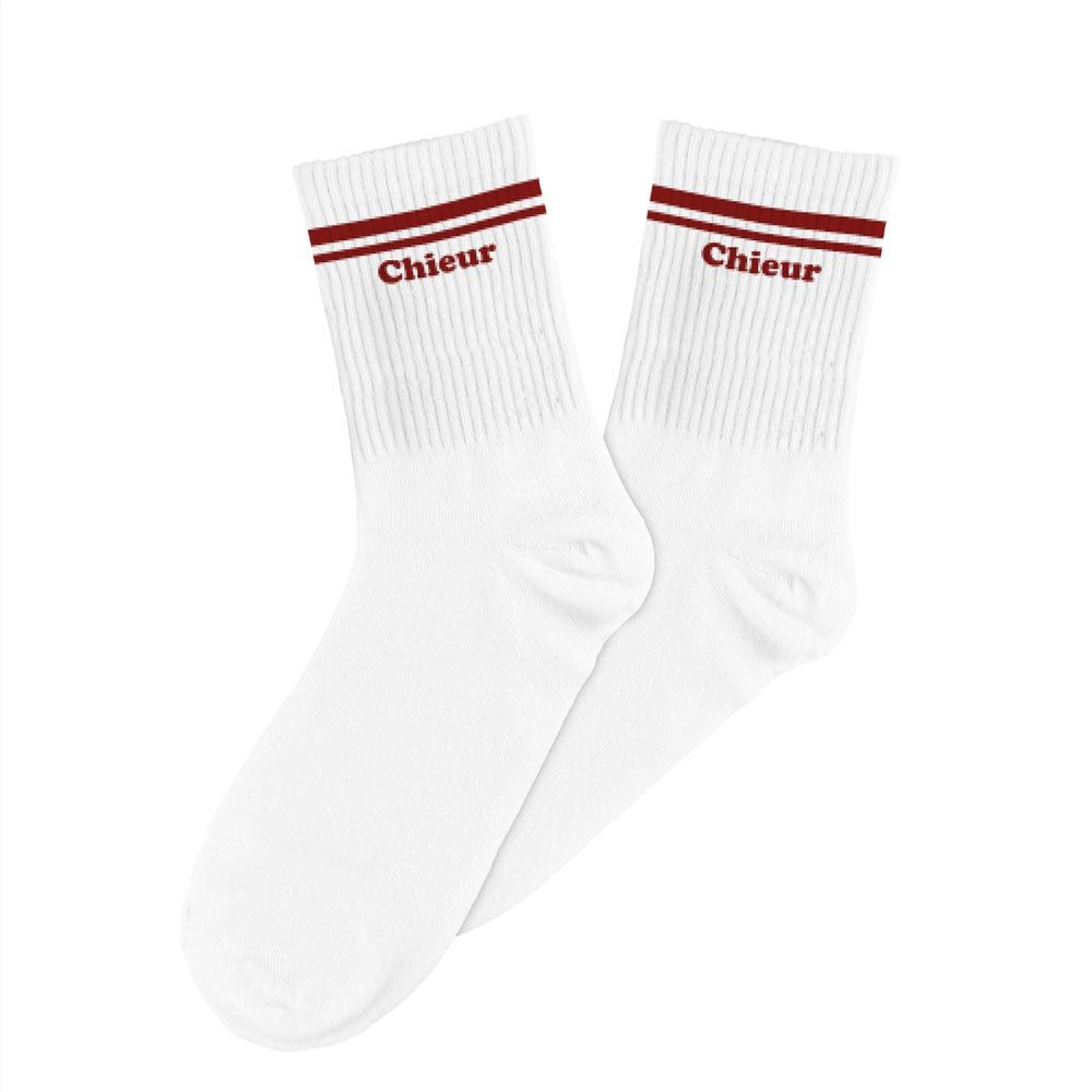 Chaussettes homme chieur