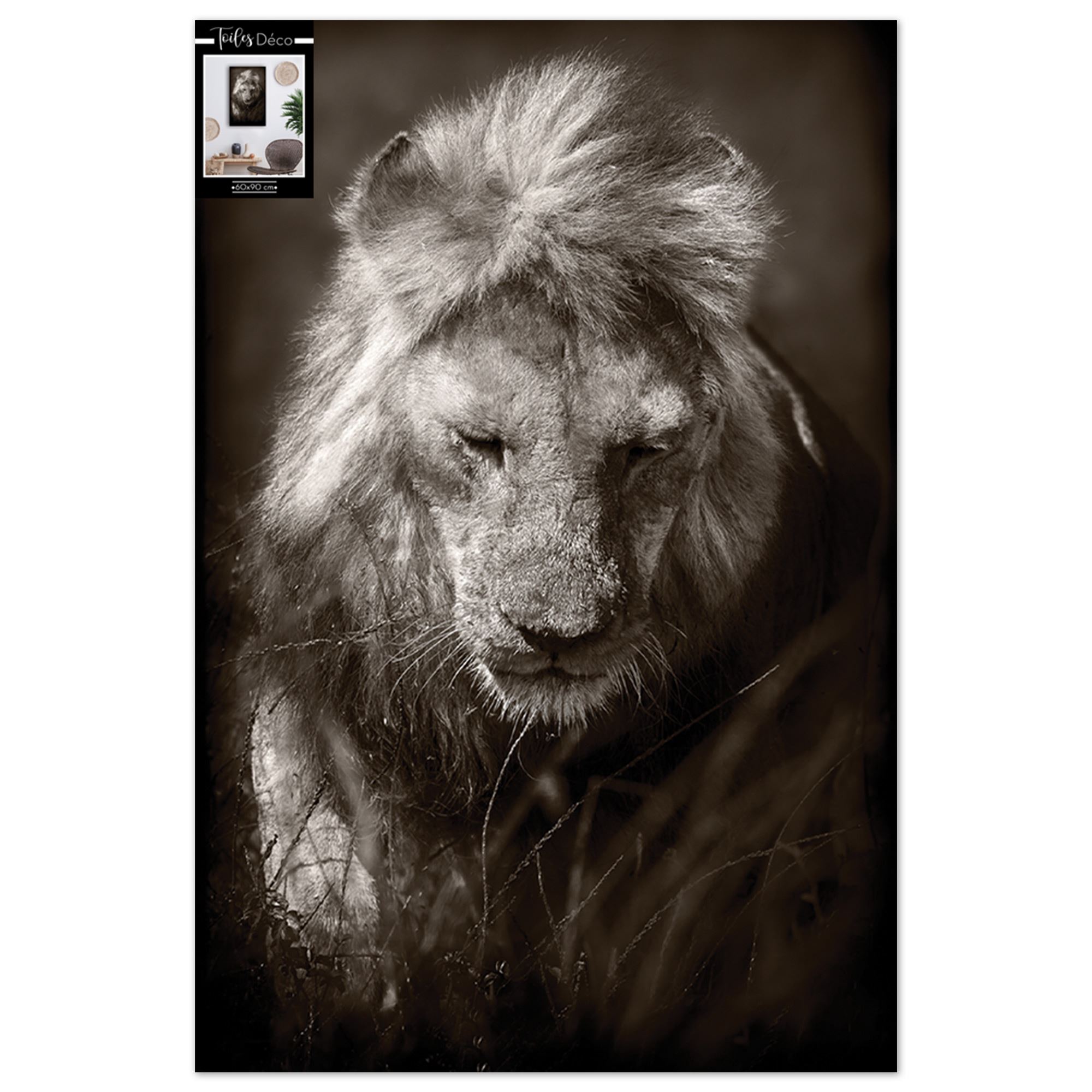 Toile lion 60x90