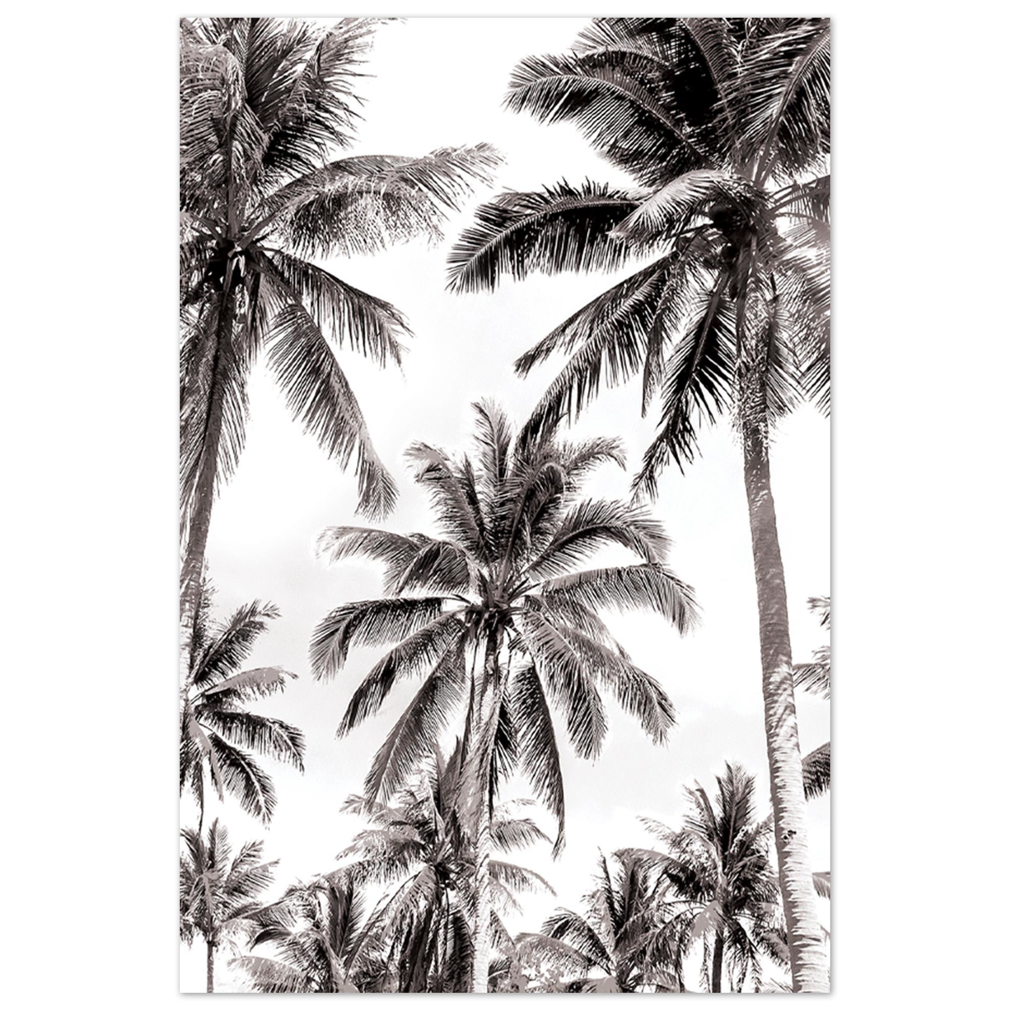 Toile palmiers 120x80