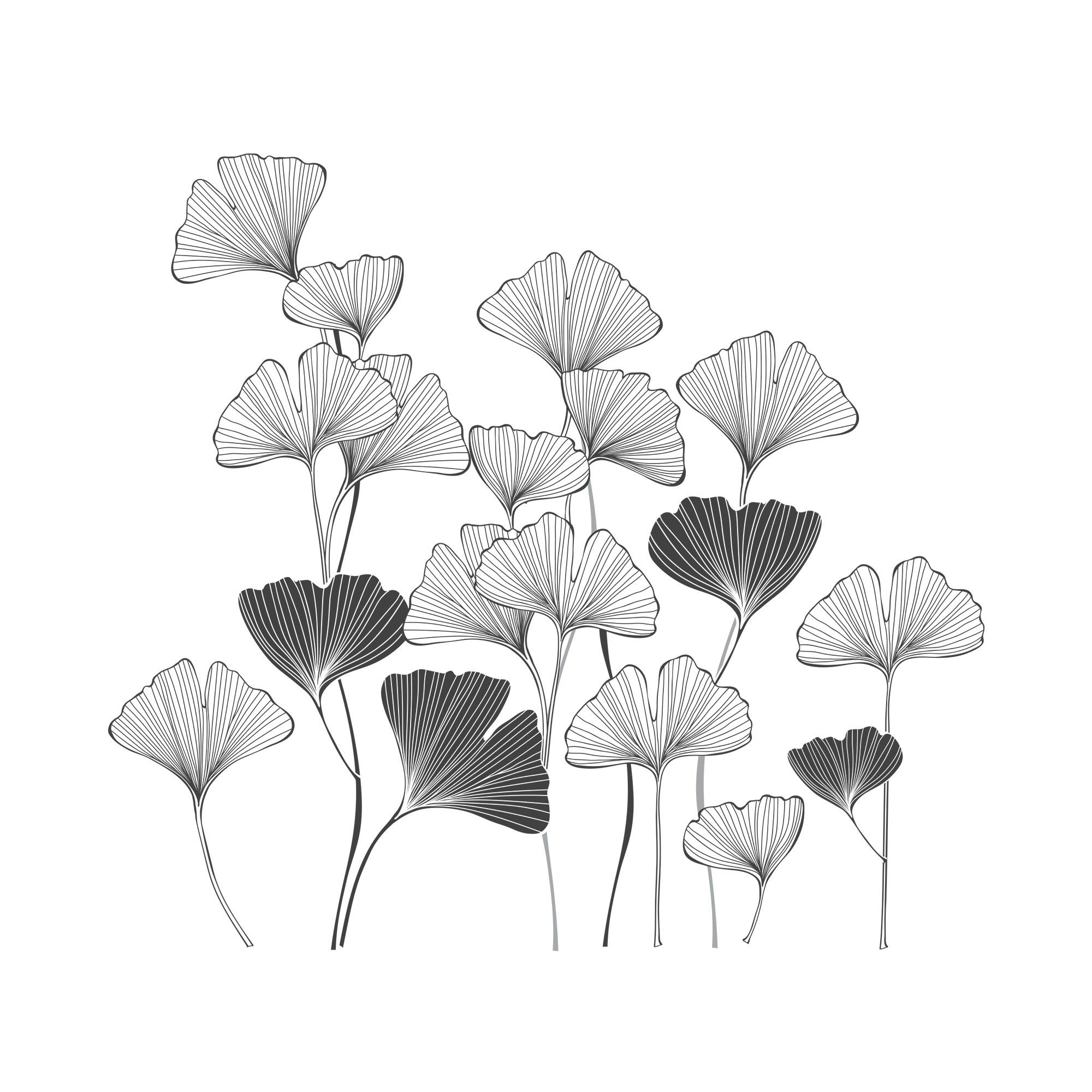 Sticker gm feuilles ginkgo