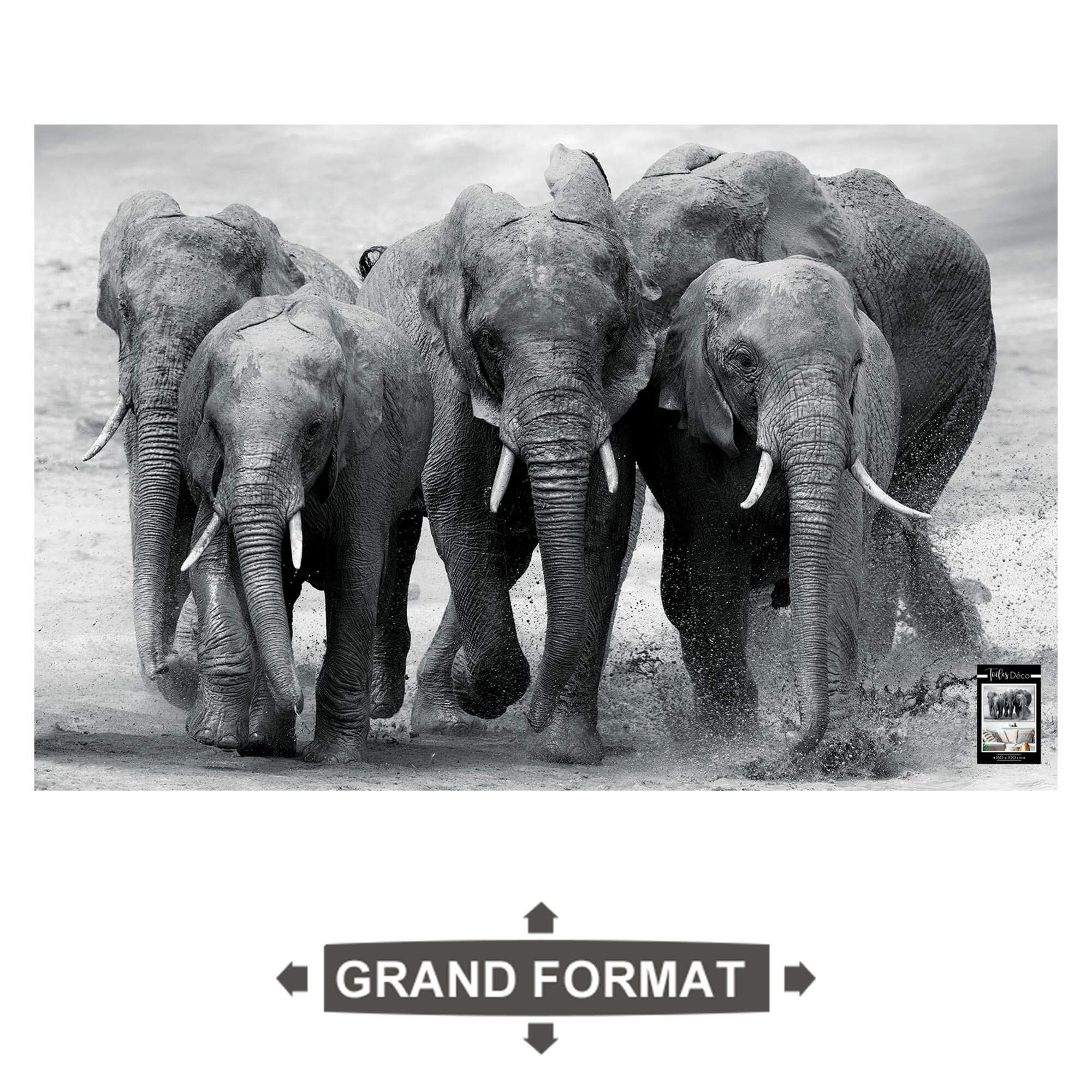 Toile elephants 160x100cms