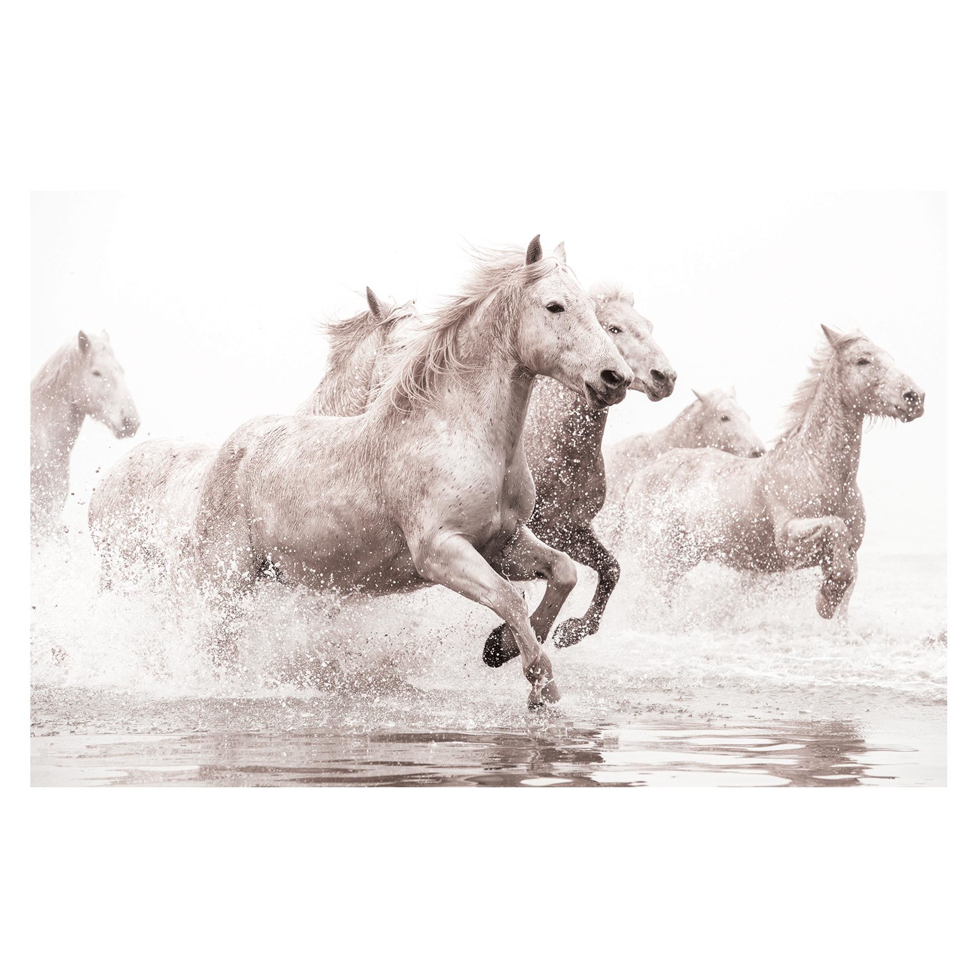Toile chevaux 160x100cms