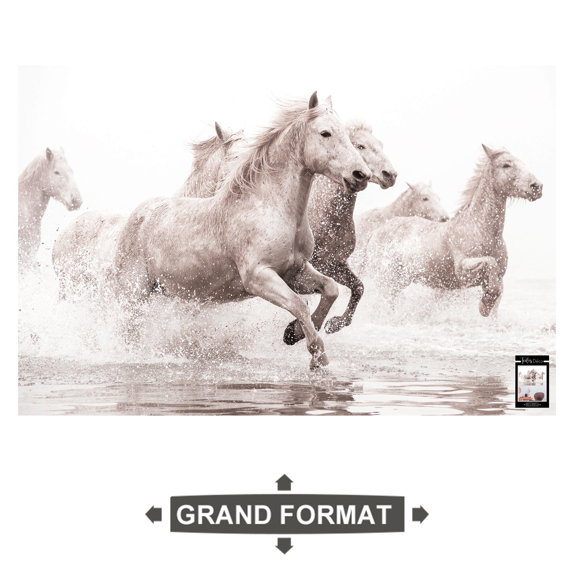Toile chevaux 160x100cms