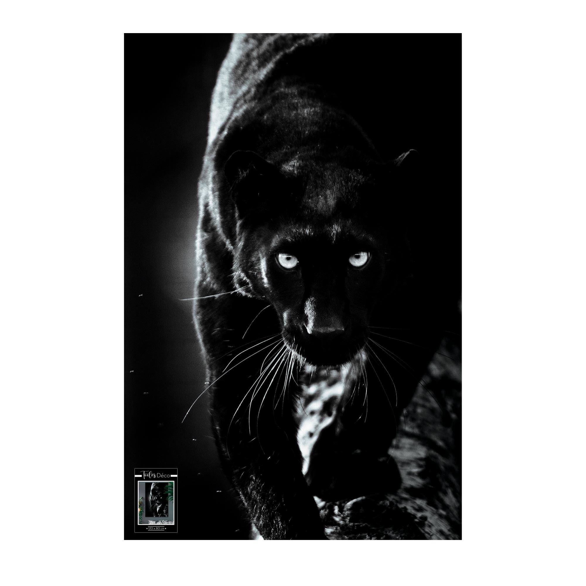 Toile panthere noire 80x120cms
