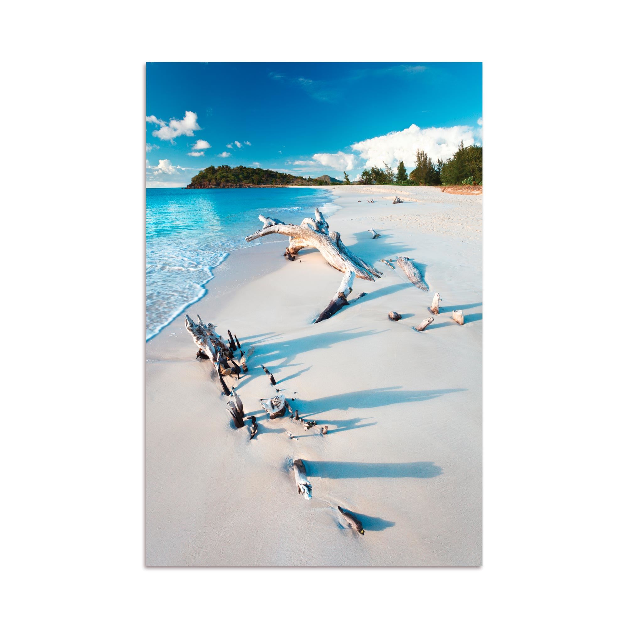 Toile plage bois flotte 80x120cms