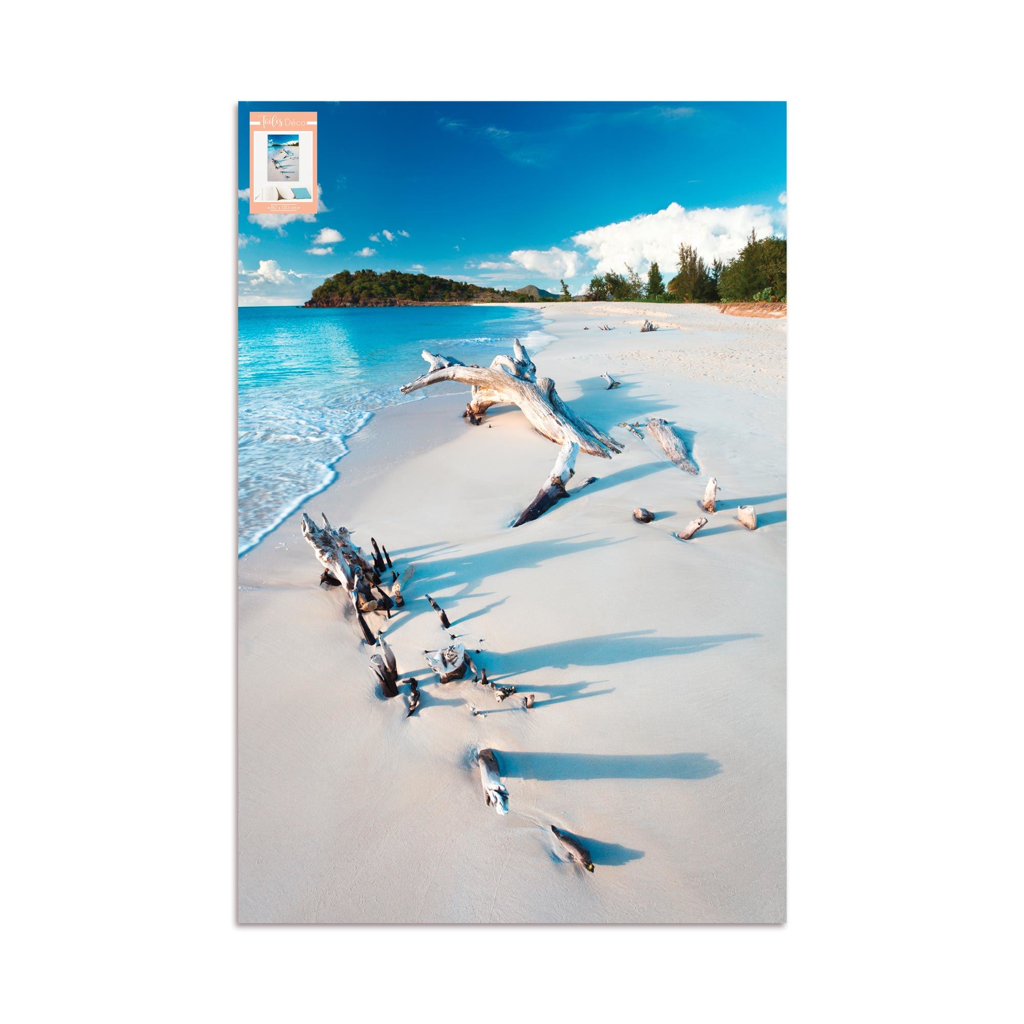 Toile plage bois flotte 80x120cms