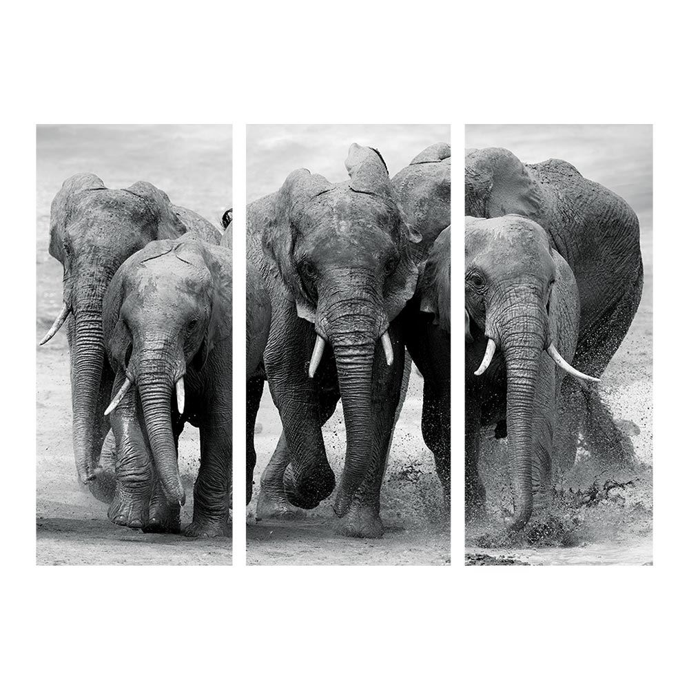 Toile triptyque elephants 240x180 cm