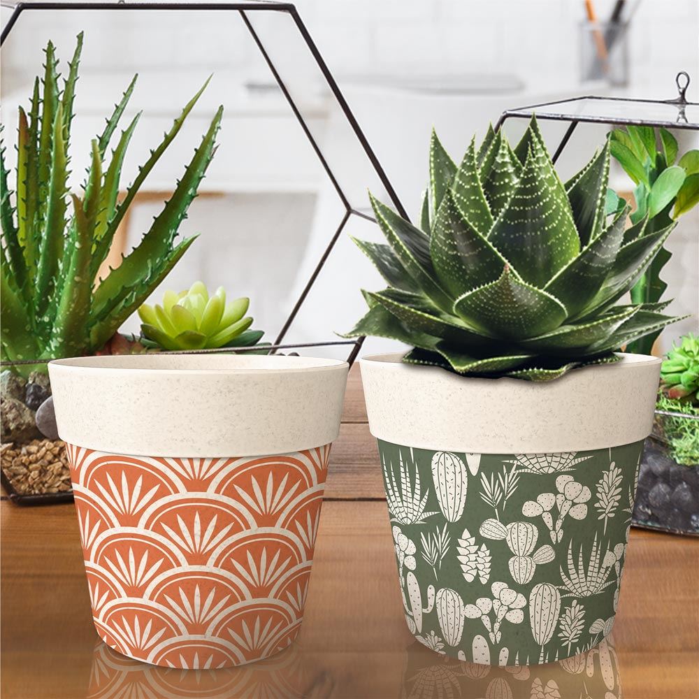 Rubrique Déco de plante
