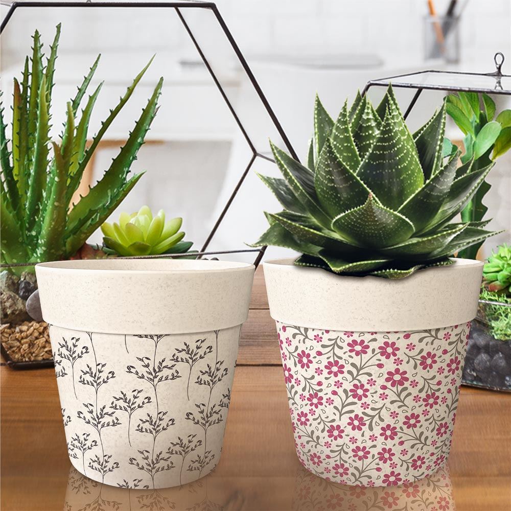 Rubrique Décoration