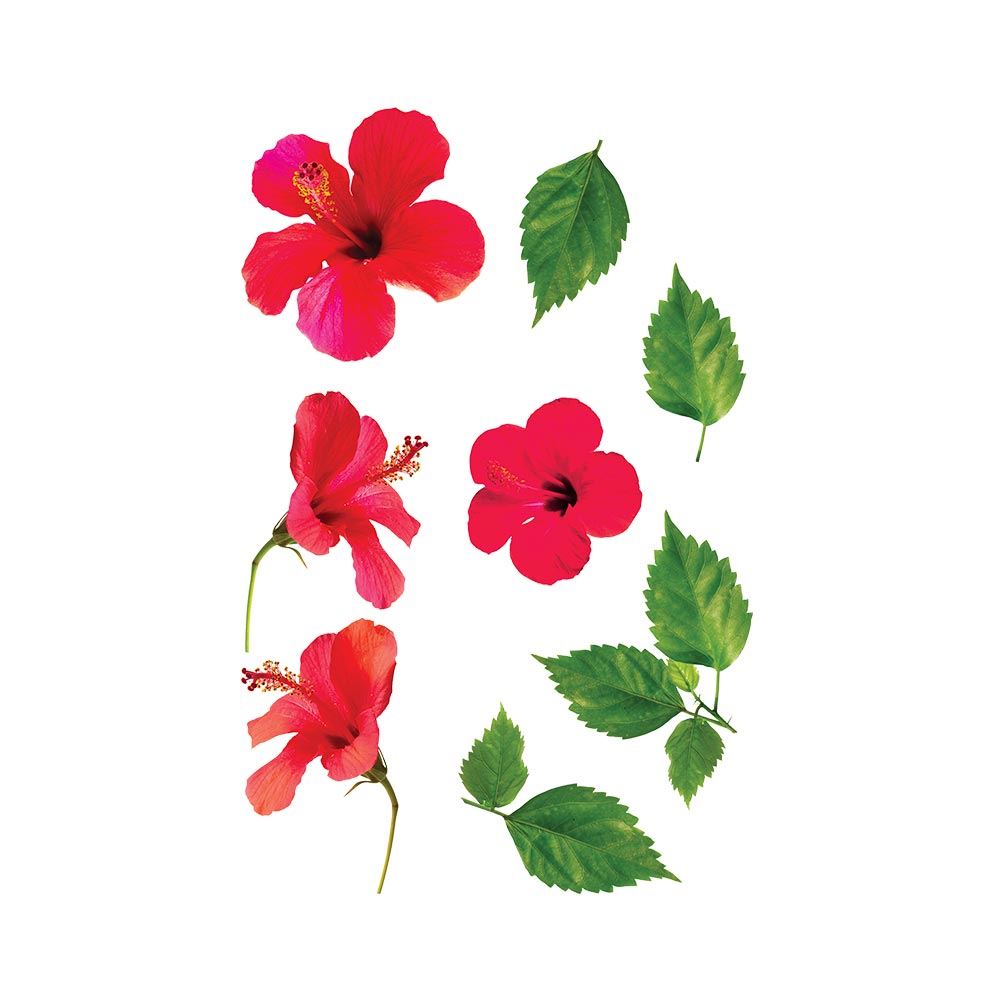 Sticker hibiscus