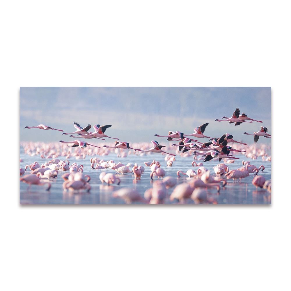 Toile flamants roses 120x55cms