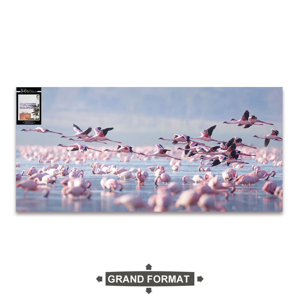 Toile flamants roses 120x55cms