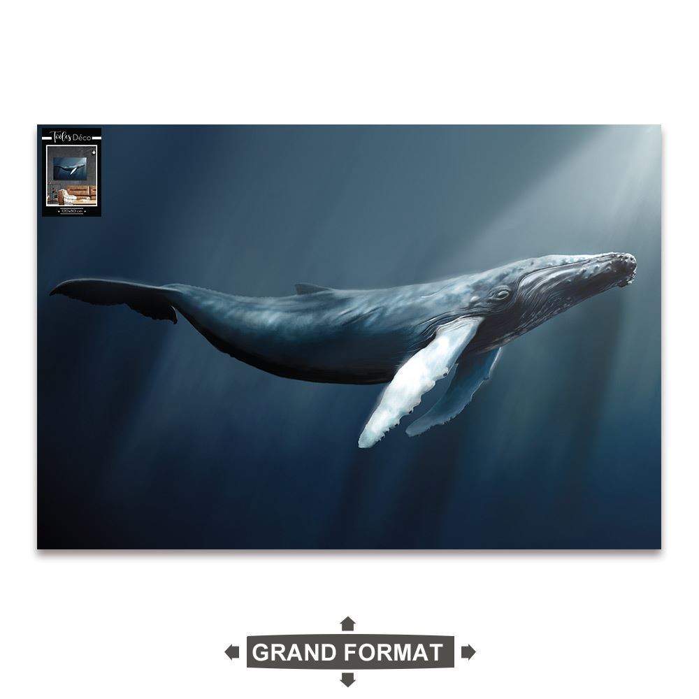 Toile baleine 120x80cms