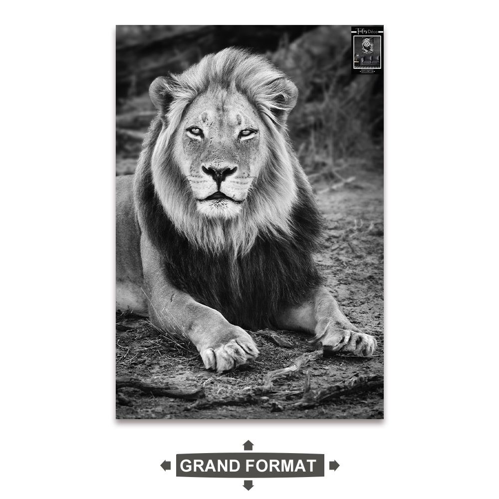 Toile lion allonge 80x120cms