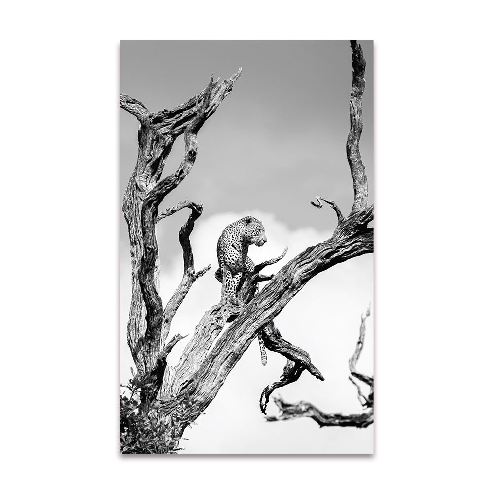 Toile guepard perche 100x160cms