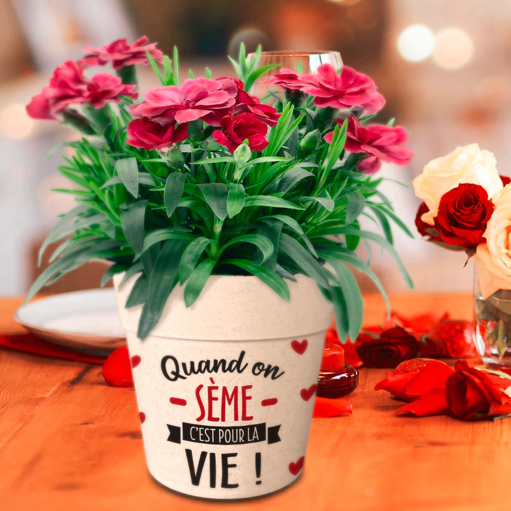 Pot/cache pot bambou 13.8x12 "quand on seme..."
