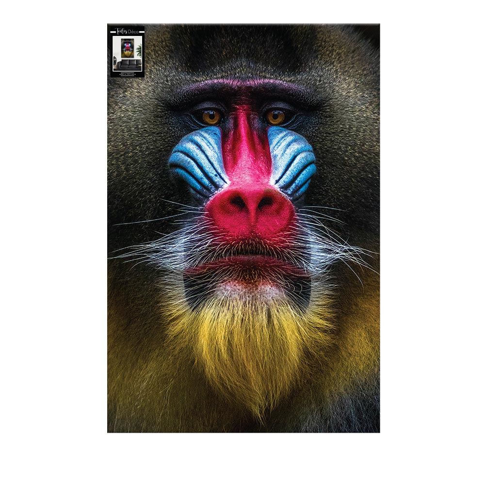 Toile tete mandrill 80x120cms