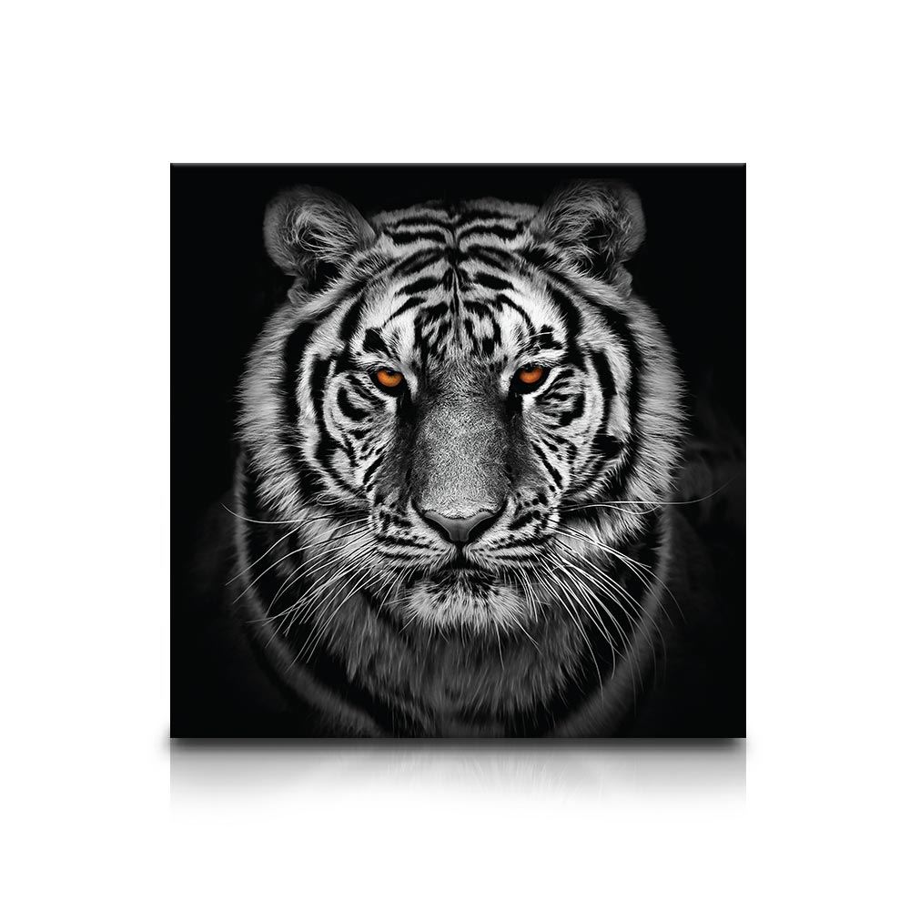 Toile tigre noir/blanc 90x90cms