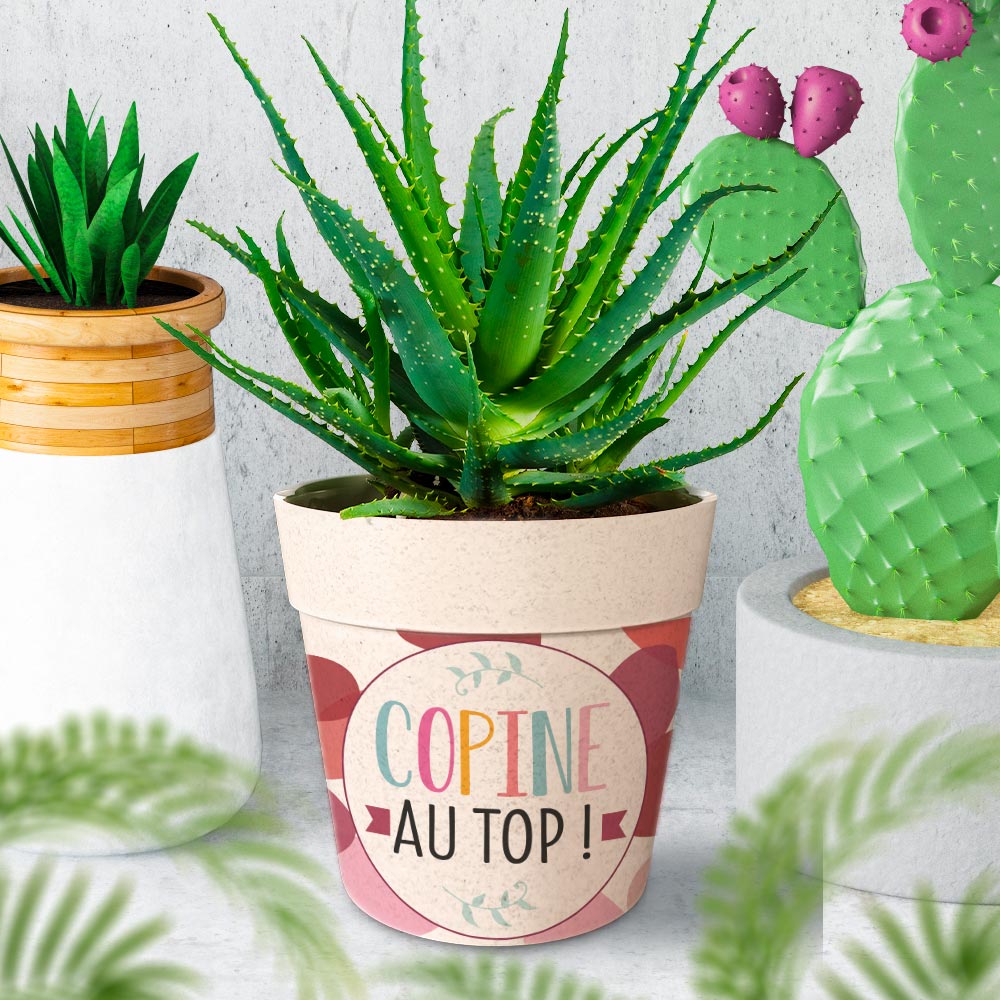 Pot/cache pot bambou "copine"