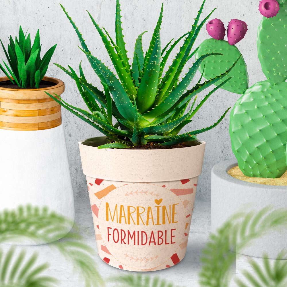 Pot/cache pot bambou "marraine"
