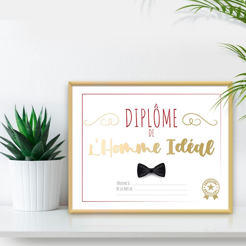 Rubrique Cadres Diplômes / Permis