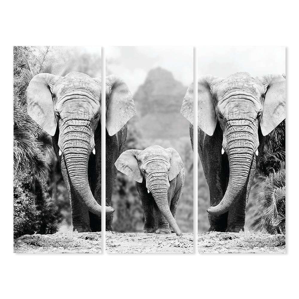 Toiles triptyques elephants 150x120 cm