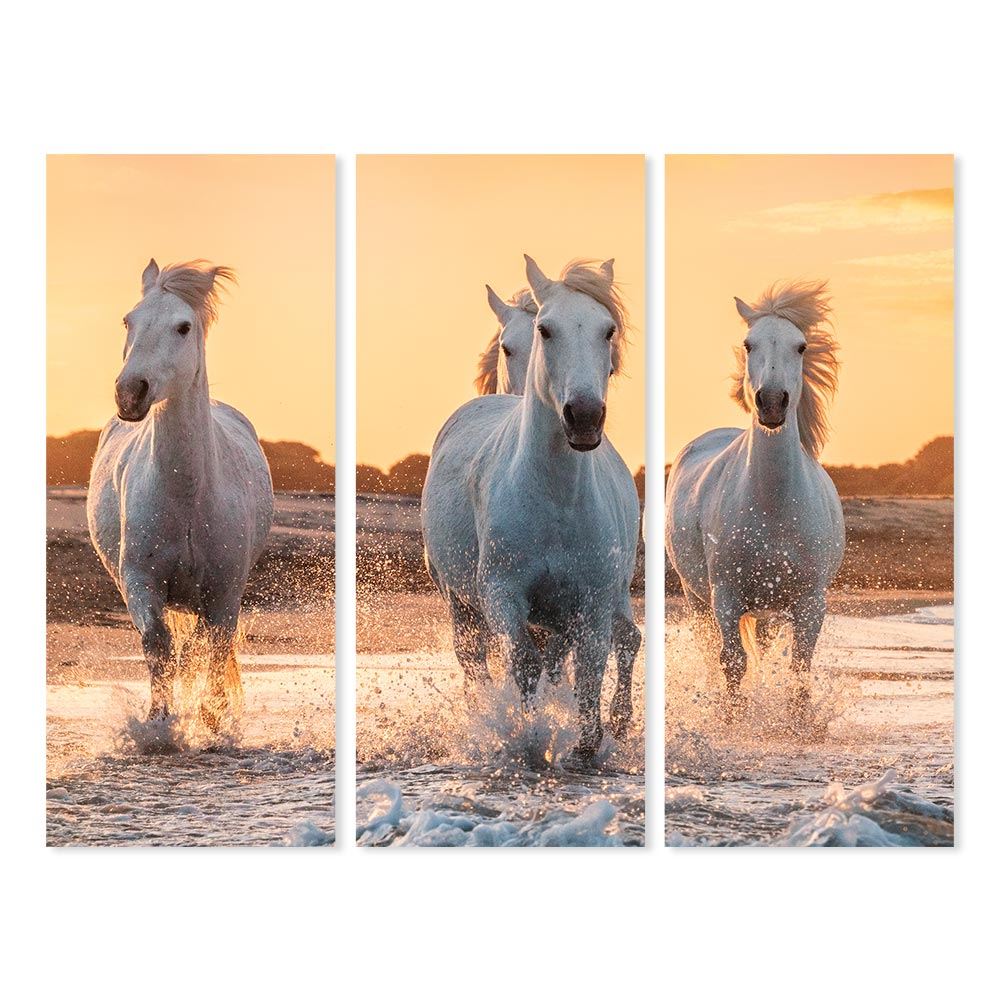 Toiles triptyques chevaux 150x120 cm