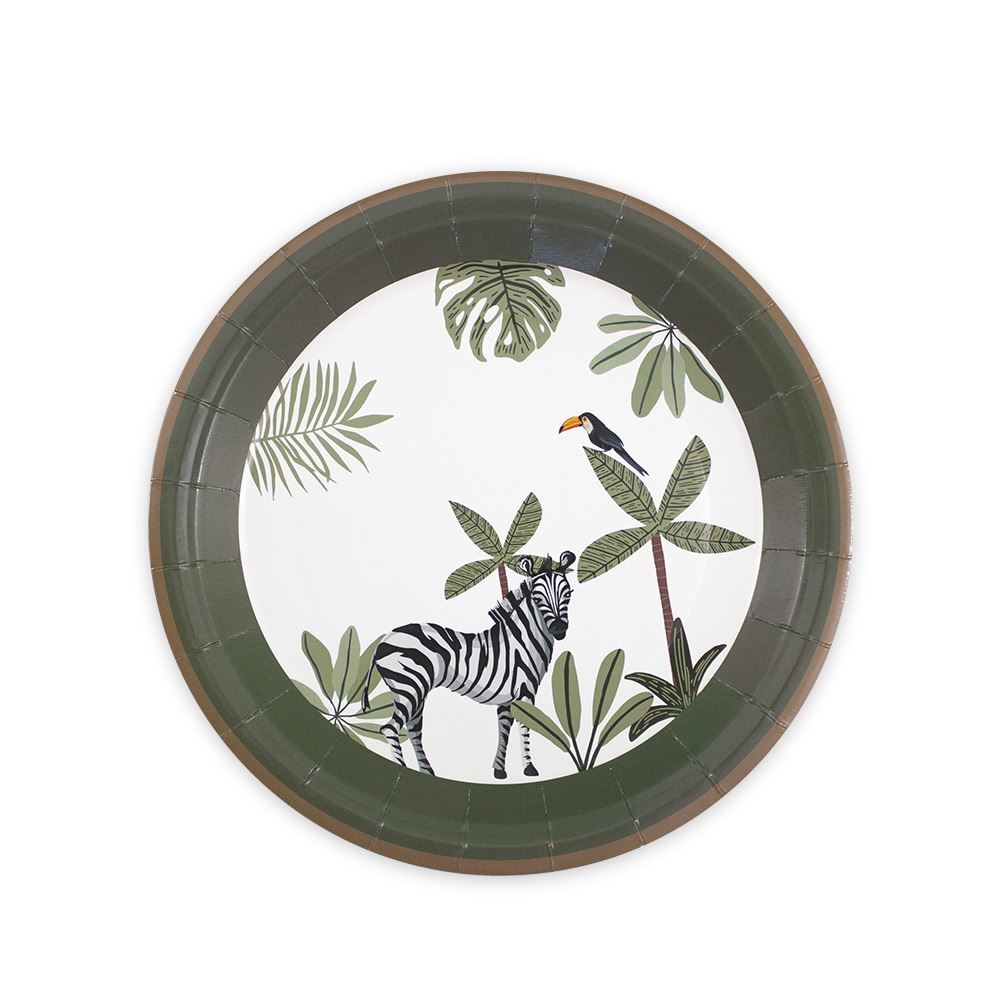 Pack 6 assiettes explorateur