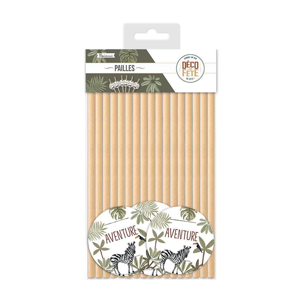 Pack 18 pailles explorateur