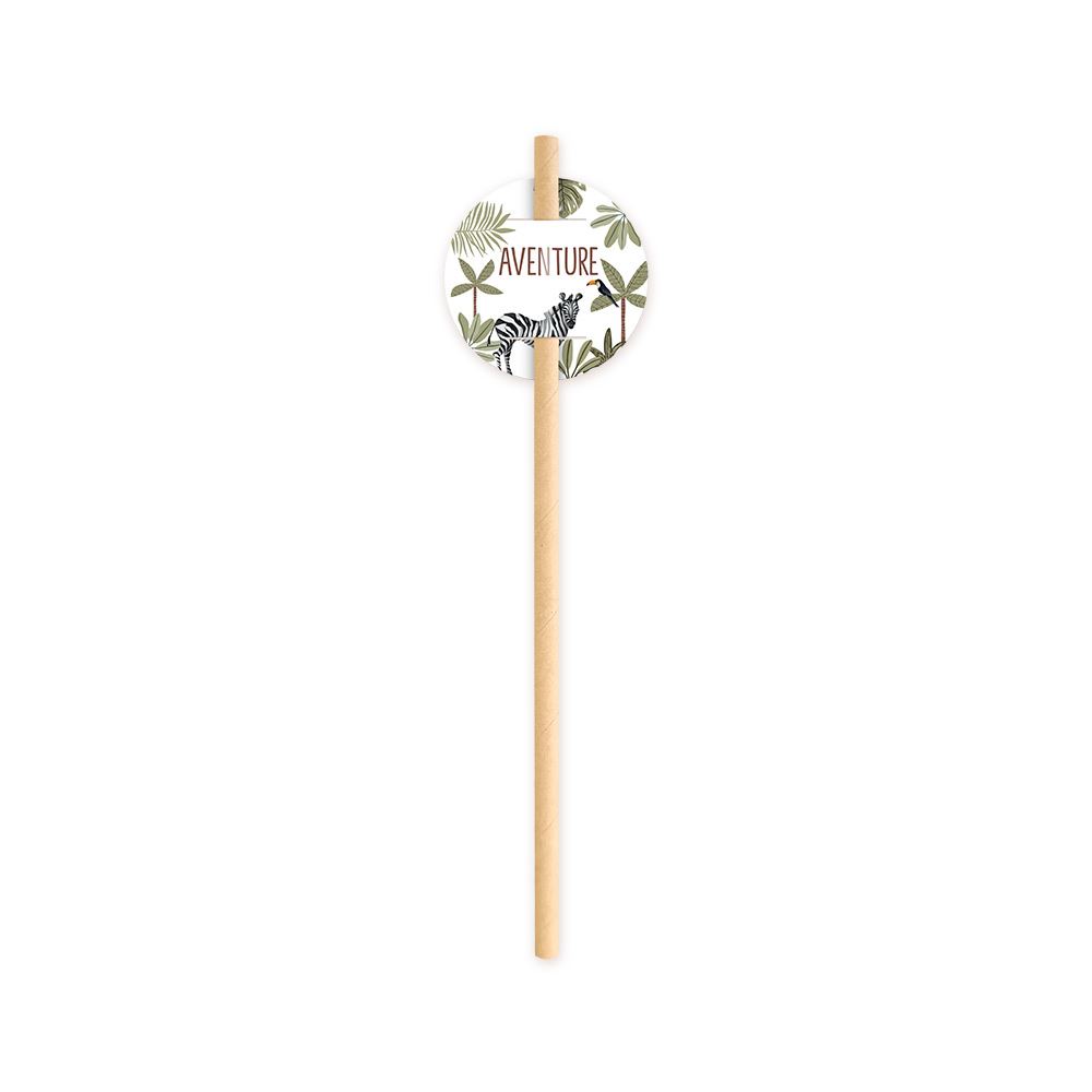 Pack 18 pailles explorateur