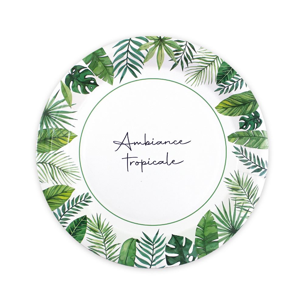 Pack 6 assiettes exotique party