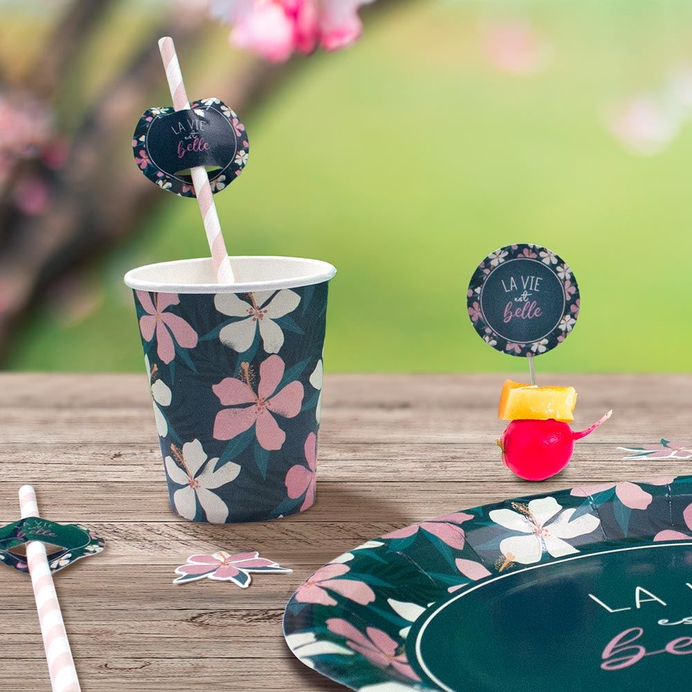 Rubrique Vaisselles Jetables Toutes Occasions