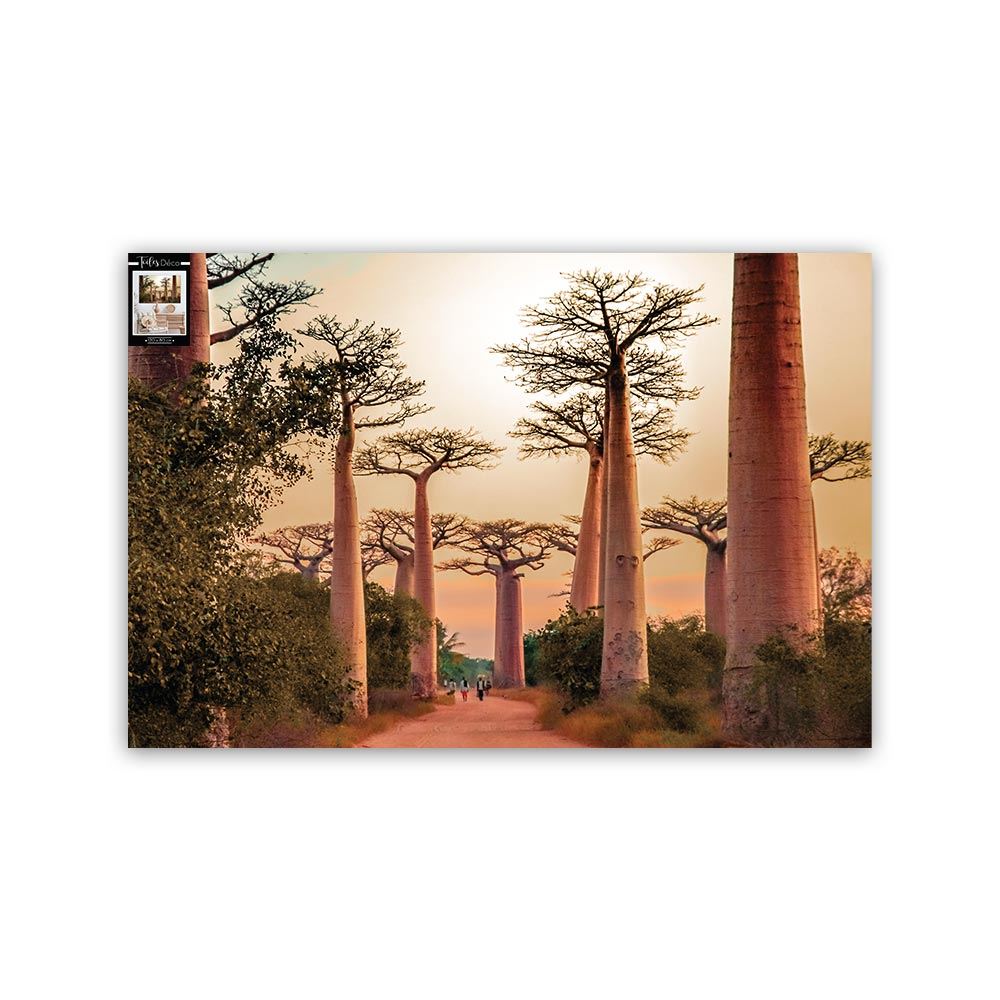 Toile baobabs 120x80cms