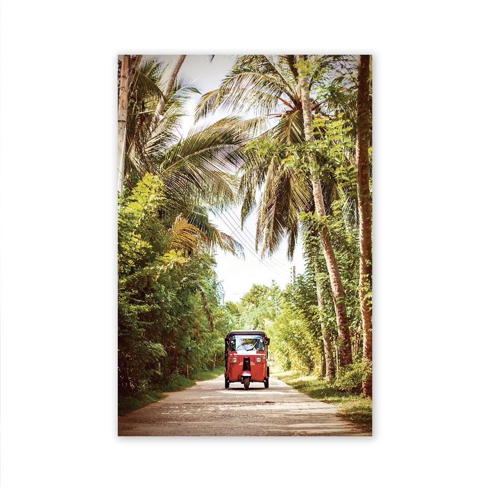 Toile tuk tuk palmiers 80x120cms