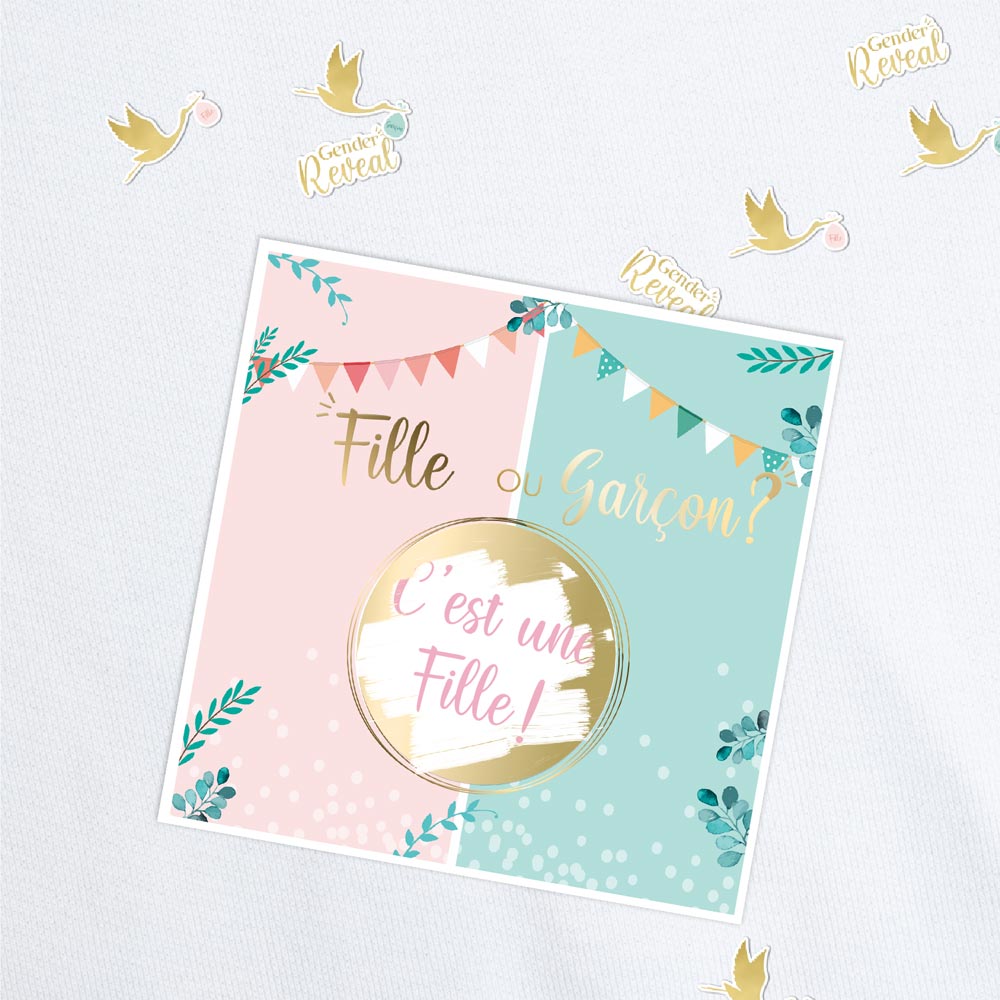 Sachet 6 cartes gender fille