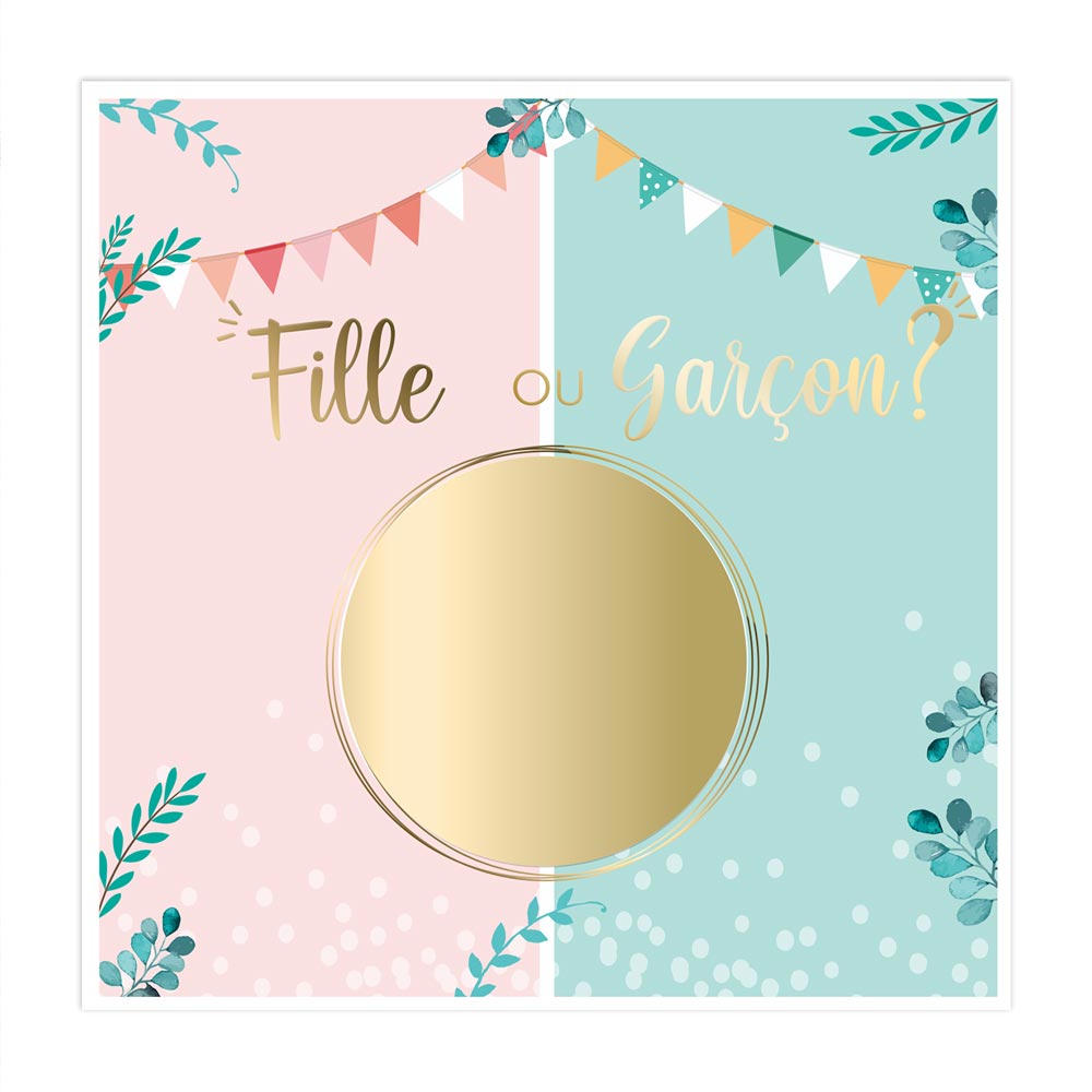 Sachet 6 cartes gender fille