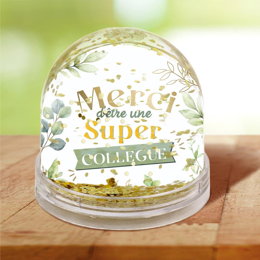 Rubrique Boules à Neige Affectives