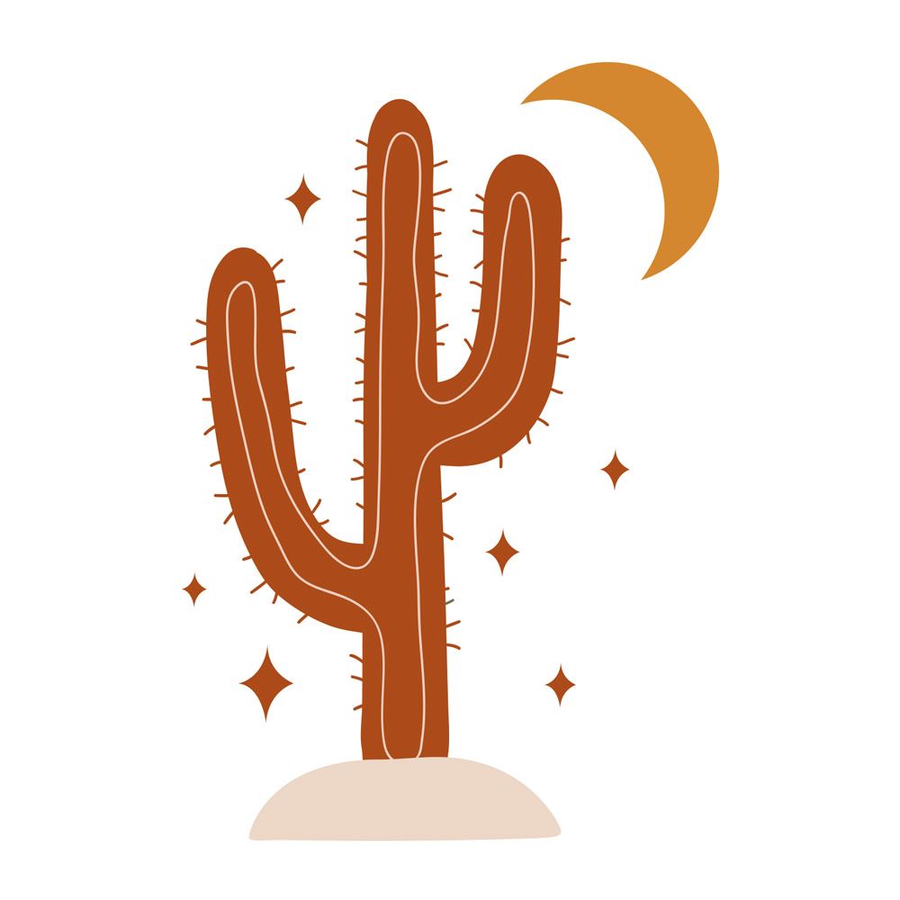 Sticker cactus 70x50cms