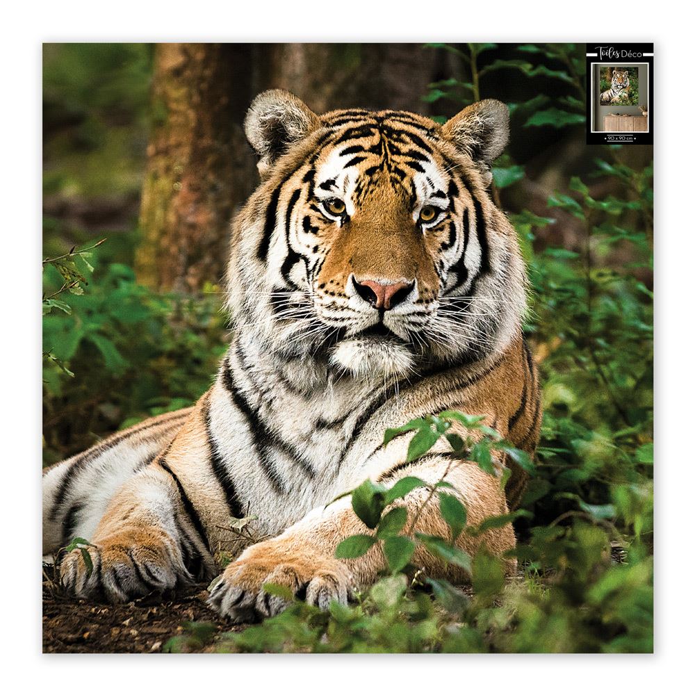 Toile tigre du bengale 90x90cms