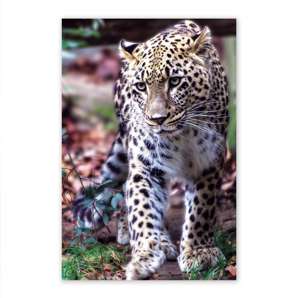 Toile leopard 60x90cm