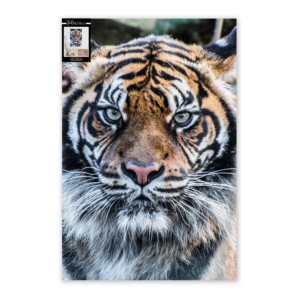 Toile portrait tigre 60x90cm