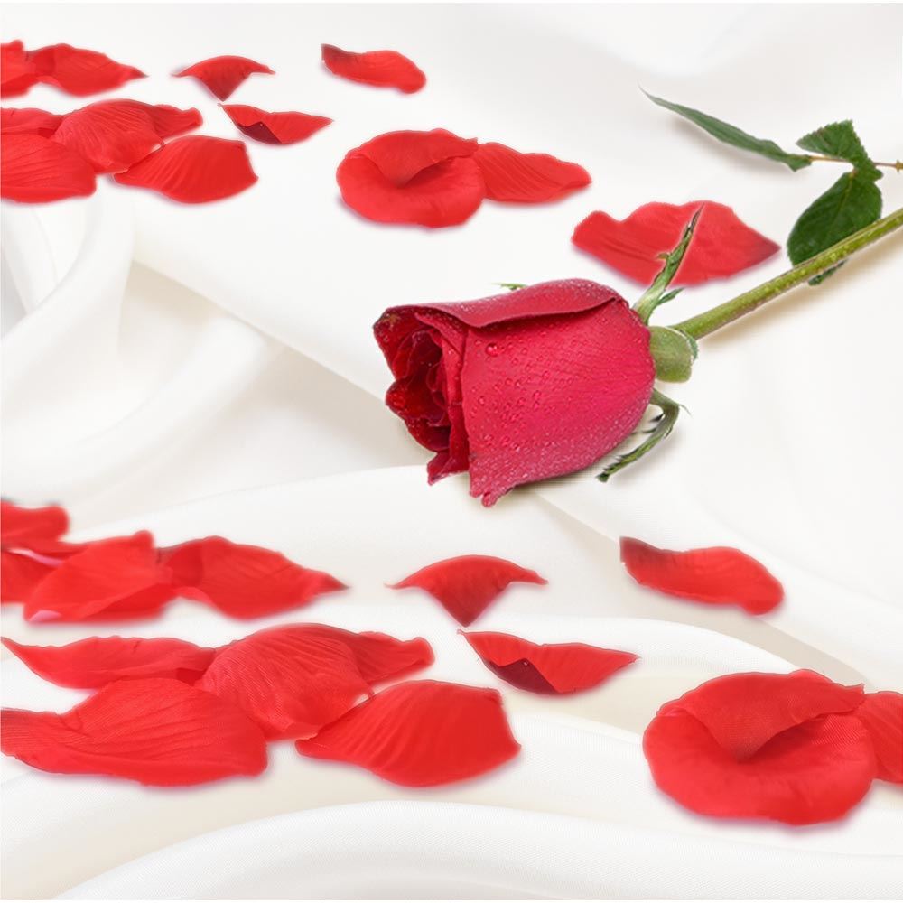 Petales de roses saint valentin