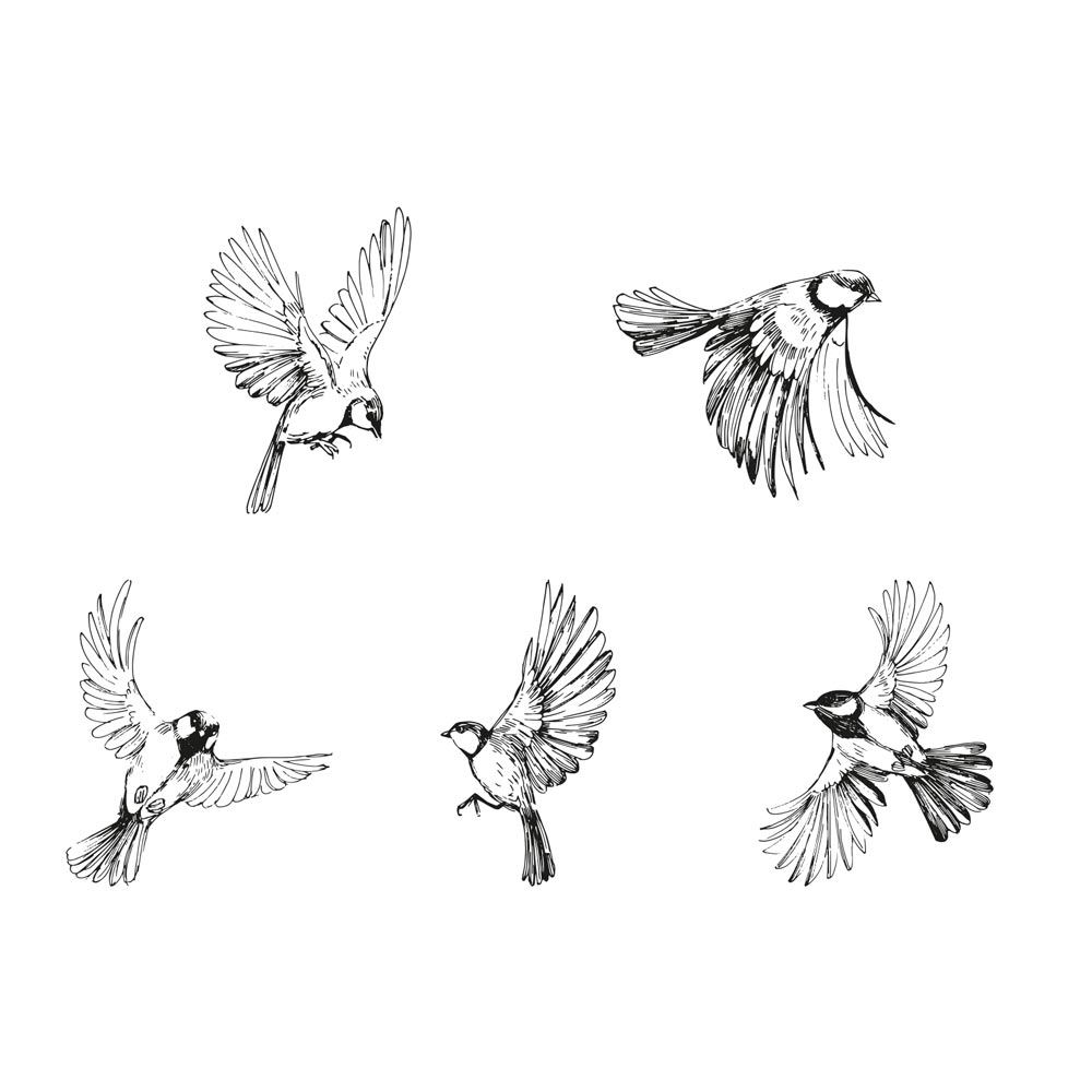 Sticker hirondelles noir/blanc 20x70
